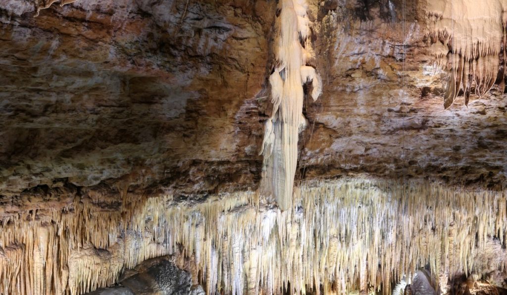 Gouffre de Proumeyssac 2019 — Les dispositifs visuels