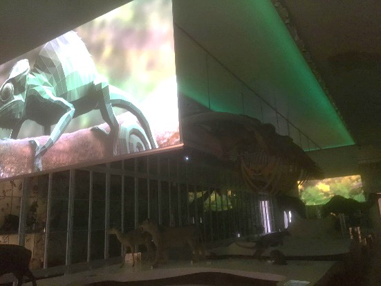 Installation technique — Muséum de Bordeaux